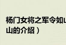 楊門女將之軍令如山（關(guān)于楊門女將之軍令如山的介紹）