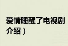 愛情睡醒了電視?。P(guān)于愛情睡醒了電視劇的介紹）