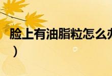 臉上有油脂粒怎么辦（臉上有油脂粒怎么祛除）