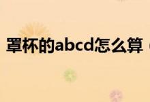 罩杯的abcd怎么算（罩杯的abcd計(jì)算方法）