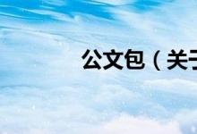 公文包（關(guān)于公文包的介紹）