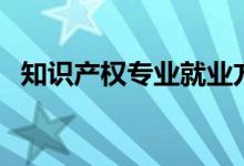 知識產(chǎn)權(quán)專業(yè)就業(yè)方向有哪些（前景如何）