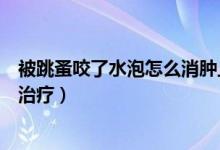 被跳蚤咬了水泡怎么消腫止癢最快（跳蚤咬后起水泡該怎么治療）