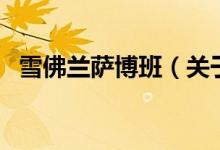 雪佛蘭薩博班（關(guān)于雪佛蘭薩博班的介紹）