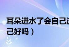 耳朵進水了會自己流出來嗎（耳朵進水了會自己好嗎）