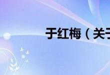 于紅梅（關(guān)于于紅梅的介紹）