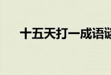 十五天打一成語謎底（十五天 打一字）