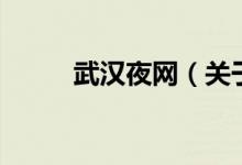 武漢夜網(wǎng)（關(guān)于武漢夜網(wǎng)的介紹）
