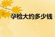 孕檢大約多少錢（孕檢大概要多少錢）