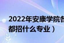 2022年安康學院各省招生計劃及招生人數(shù)（都招什么專業(yè)）