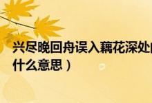 興盡晚回舟誤入藕花深處的意思（興盡晚回舟誤入藕花深處什么意思）