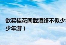欲買桂花同載酒終不似少年游下句（欲買桂花同載酒終不似少年游）