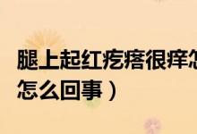 腿上起紅疙瘩很癢怎么辦（腿上起紅疙瘩很癢怎么回事）