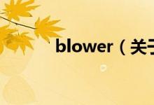 blower（關(guān)于blower的介紹）