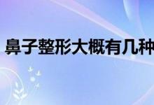鼻子整形大概有幾種（鼻子整形大概多少錢(qián)）