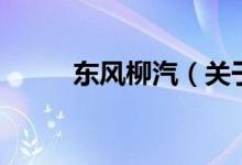 東風(fēng)柳汽（關(guān)于東風(fēng)柳汽的介紹）