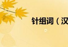 針組詞（漢字針怎么組詞）