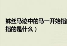 蛛絲馬跡中的馬一開始指的是什么（蛛絲馬跡中的馬一開始指的是什么）