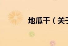 地瓜干（關(guān)于地瓜干的介紹）