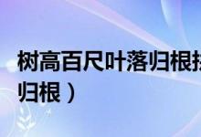 樹高百尺葉落歸根拼音怎么寫（樹高百尺葉落歸根）
