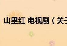 山里紅 電視劇（關(guān)于山里紅 電視劇的介紹）