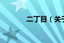 二丁目（關(guān)于二丁目的介紹）