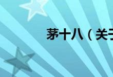 茅十八（關(guān)于茅十八的介紹）