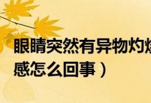 眼睛突然有異物灼燒感（一只眼睛突然有異物感怎么回事）