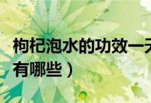 枸杞泡水的功效一天吃幾顆（枸杞泡水的功效有哪些）