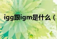 igg跟igm是什么（IgG和IgM有什么區(qū)別）