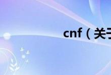 cnf（關(guān)于cnf的介紹）