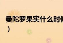 曼陀羅果實什么時候采摘（曼陀羅果實的功效）