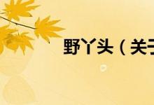 野丫頭（關(guān)于野丫頭的介紹）