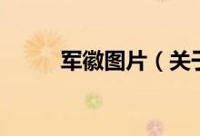 軍徽?qǐng)D片（關(guān)于軍徽?qǐng)D片的介紹）