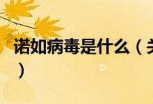 諾如病毒是什么（關(guān)于諾如病毒是什么的介紹）