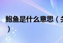 鮑魚是什么意思（關(guān)于鮑魚是什么意思的介紹）