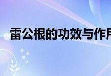 雷公根的功效與作用（雷公根有什么功效）