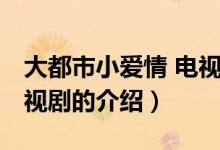 大都市小愛情 電視劇（關(guān)于大都市小愛情 電視劇的介紹）