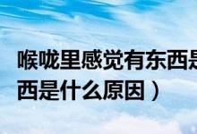 喉嚨里感覺有東西是什么?。ê韲道锔杏X有東西是什么原因）