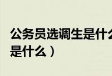 公務(wù)員選調(diào)生是什么意思（公務(wù)員選調(diào)生說的是什么）