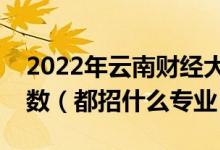 2022年云南財(cái)經(jīng)大學(xué)各省招生計(jì)劃及招生人數(shù)（都招什么專(zhuān)業(yè)）