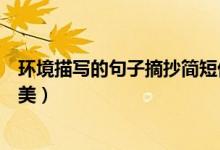 環(huán)境描寫的句子摘抄簡短優(yōu)美（環(huán)境描寫的句子摘抄簡短優(yōu)美）