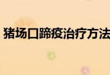 豬場(chǎng)口蹄疫治療方法（得了口蹄疫怎么治療）