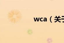 wca（關(guān)于wca的介紹）