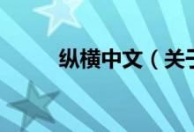 縱橫中文（關(guān)于縱橫中文的介紹）