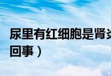 尿里有紅細(xì)胞是腎炎嗎（尿里有紅細(xì)胞是怎么回事）