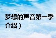 夢想的聲音第一季（關(guān)于夢想的聲音第一季的介紹）