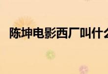 陳坤電影西廠叫什么（該劇的主演都有誰）