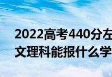 2022高考440分左右能上哪些大學（新高考文理科能報什么學校）
