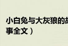 小白兔與大灰狼的故事（小白兔與大灰狼的故事全文）